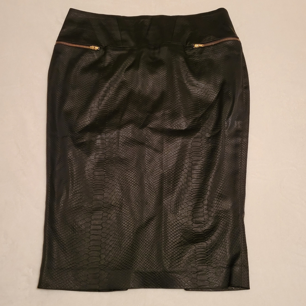 Aysha skirt, black, size 10, NWOT